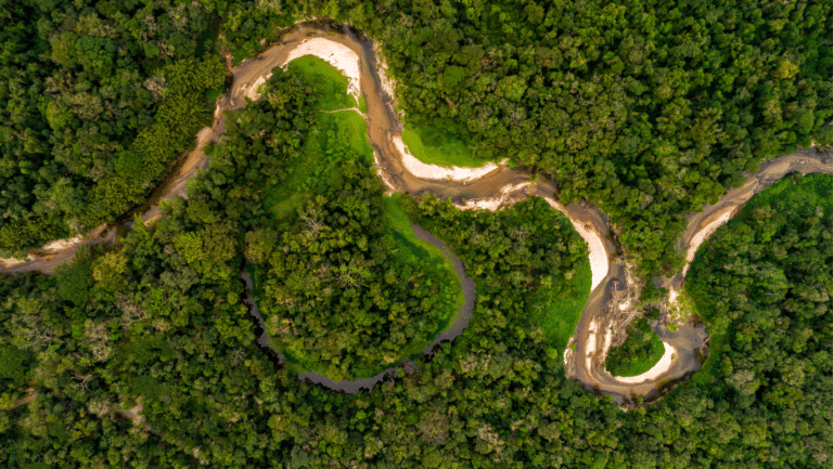 A Seca no Amazonas: O Sofrimento da População.